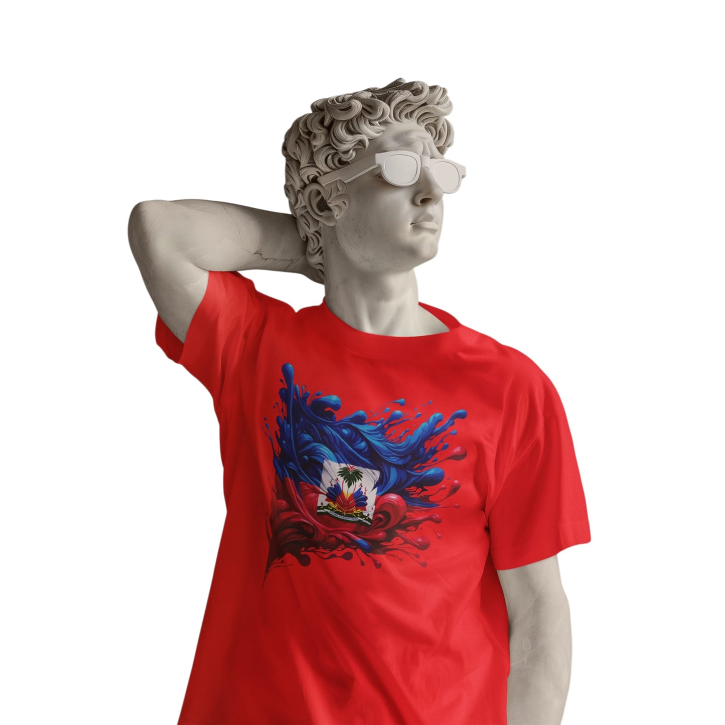 Haitian Flag Day Shirt