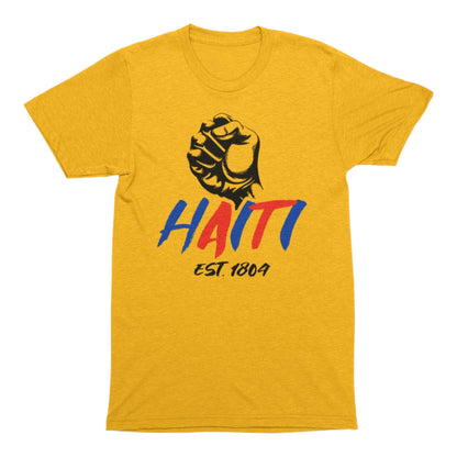 Haitian Flag Day Shirt